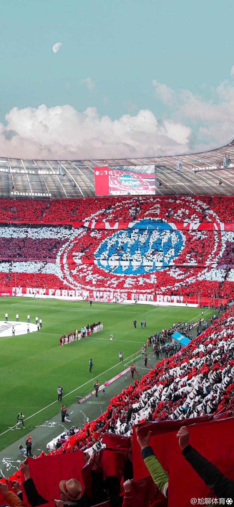 王励勤1番呼吁引争议，莎头不该被关注？球迷戳破残酷现实！